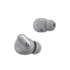 Apple Beats Studio Buds Plus - Cosmic Silver