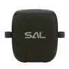 SAL PARCUBE boombox, 100 W, 2db vezeték nélküli mikrofon, 5db hangszóró, LED fényeffekt, IPX6 védelem, bluetooth