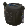 SAL PARCUBE boombox, 100 W, 2db vezeték nélküli mikrofon, 5db hangszóró, LED fényeffekt, IPX6 védelem, bluetooth