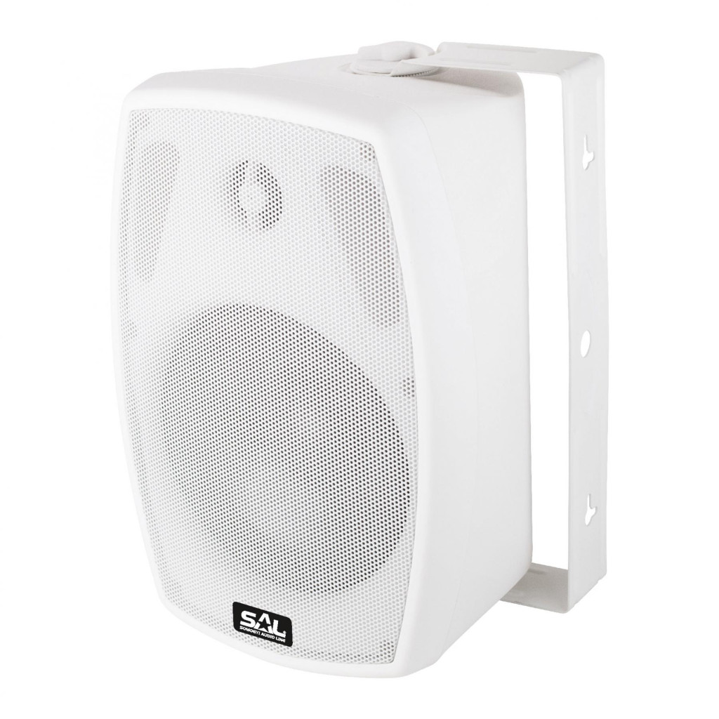 SAL BXB 100/8, 2 utas hangdoboz, 2 in 1, 60 W / 8 Ohm, 40 W / 100 V, Bass reflex, billenthető, forgatható akciós termékkép 1